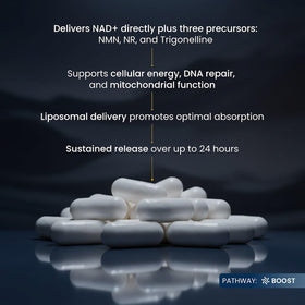 Renue By Science LIPO NAD⁺ Complete packaging details