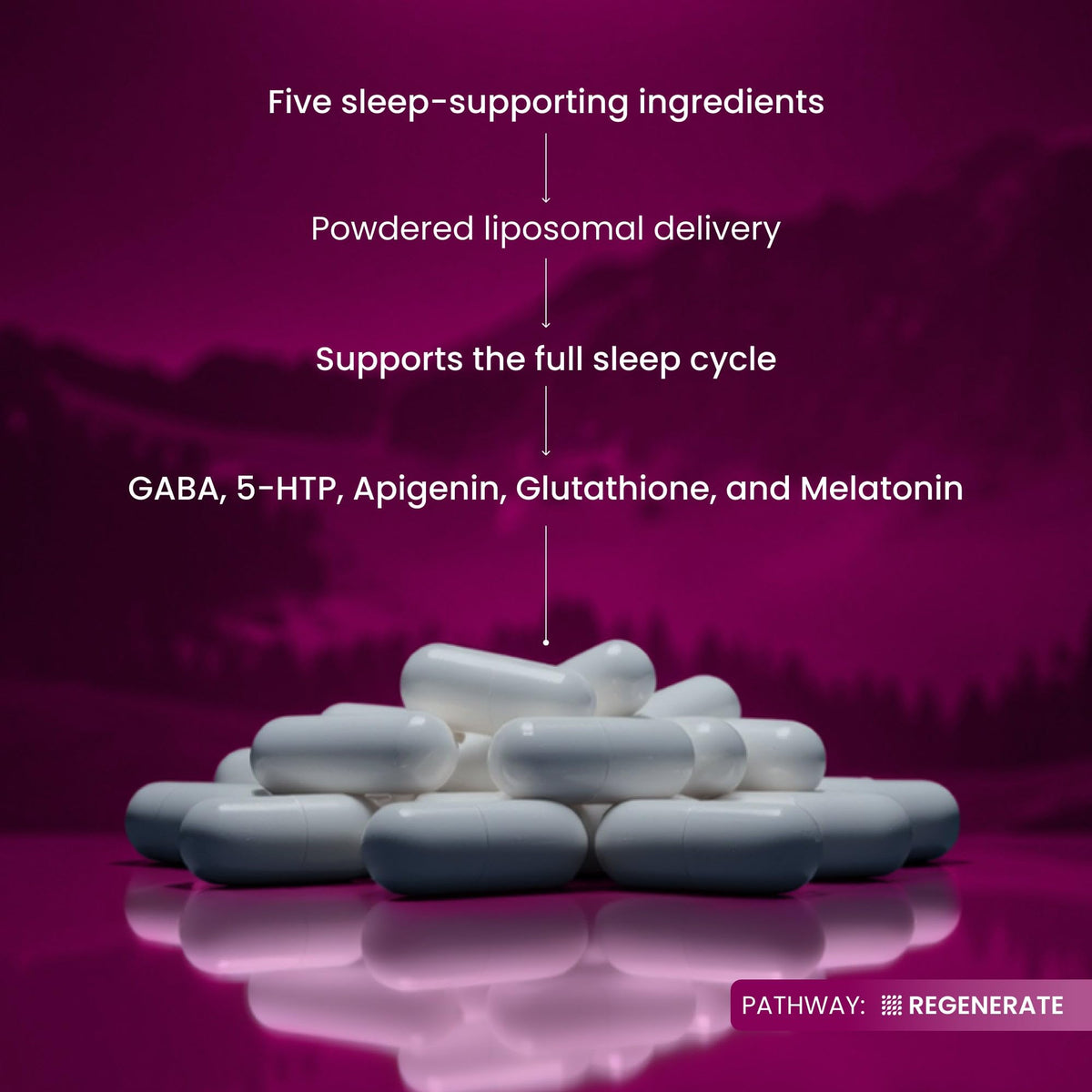 Renue By Science Restore PM 60 capsules dans leur emballage d'origine
