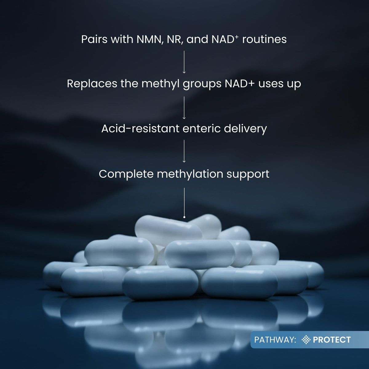 Renue By Science TMG capsules in a lifestyle setting