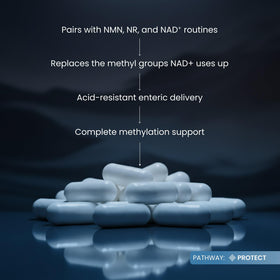 Renue By Science TMG capsules in a lifestyle setting