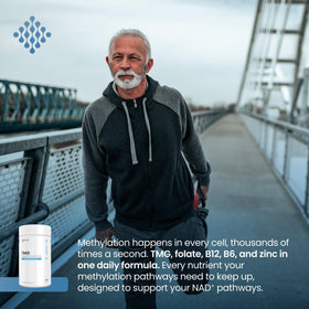Renue By Science TMG ingredients list on the bottle