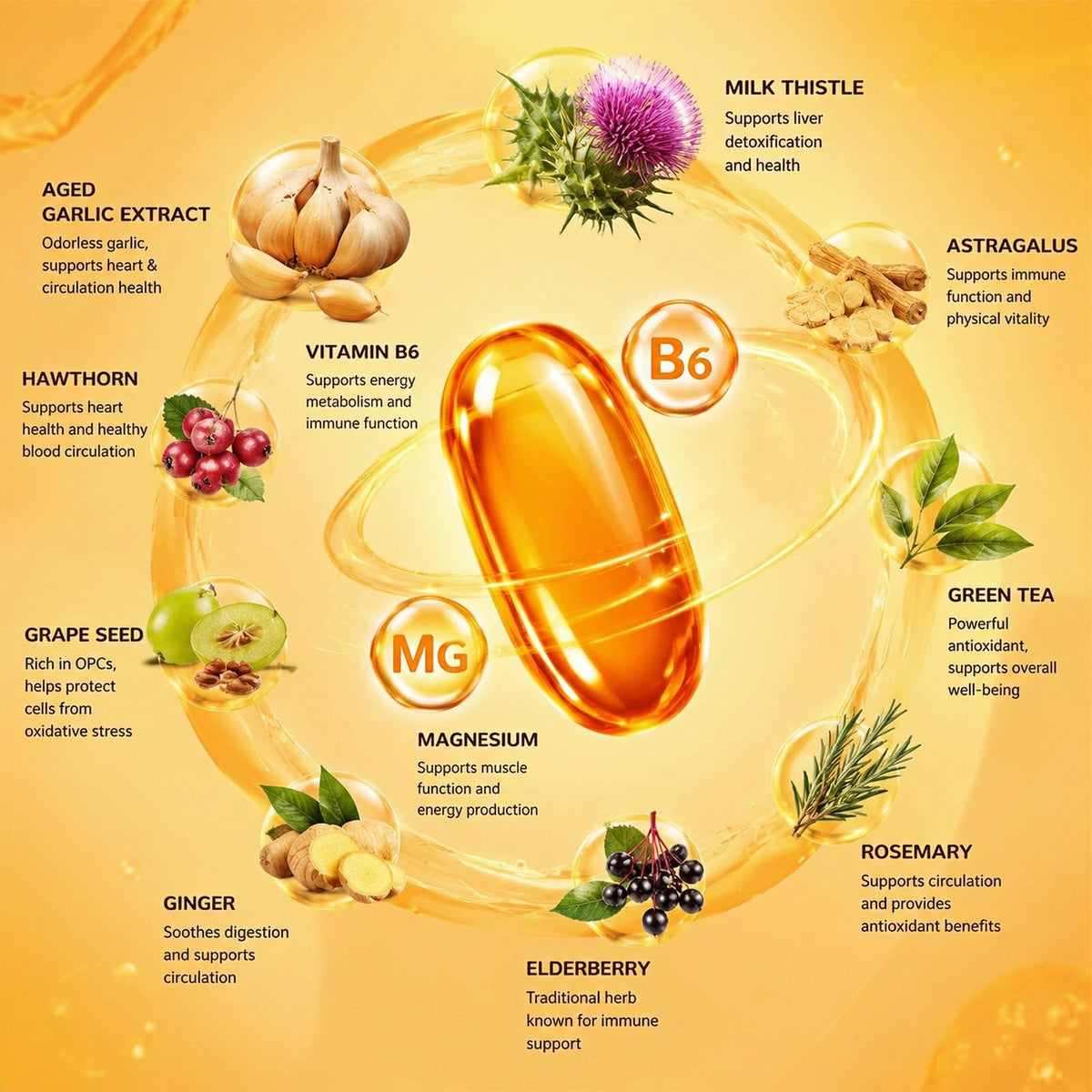 RESILIAS garlic softgels with CoQ10