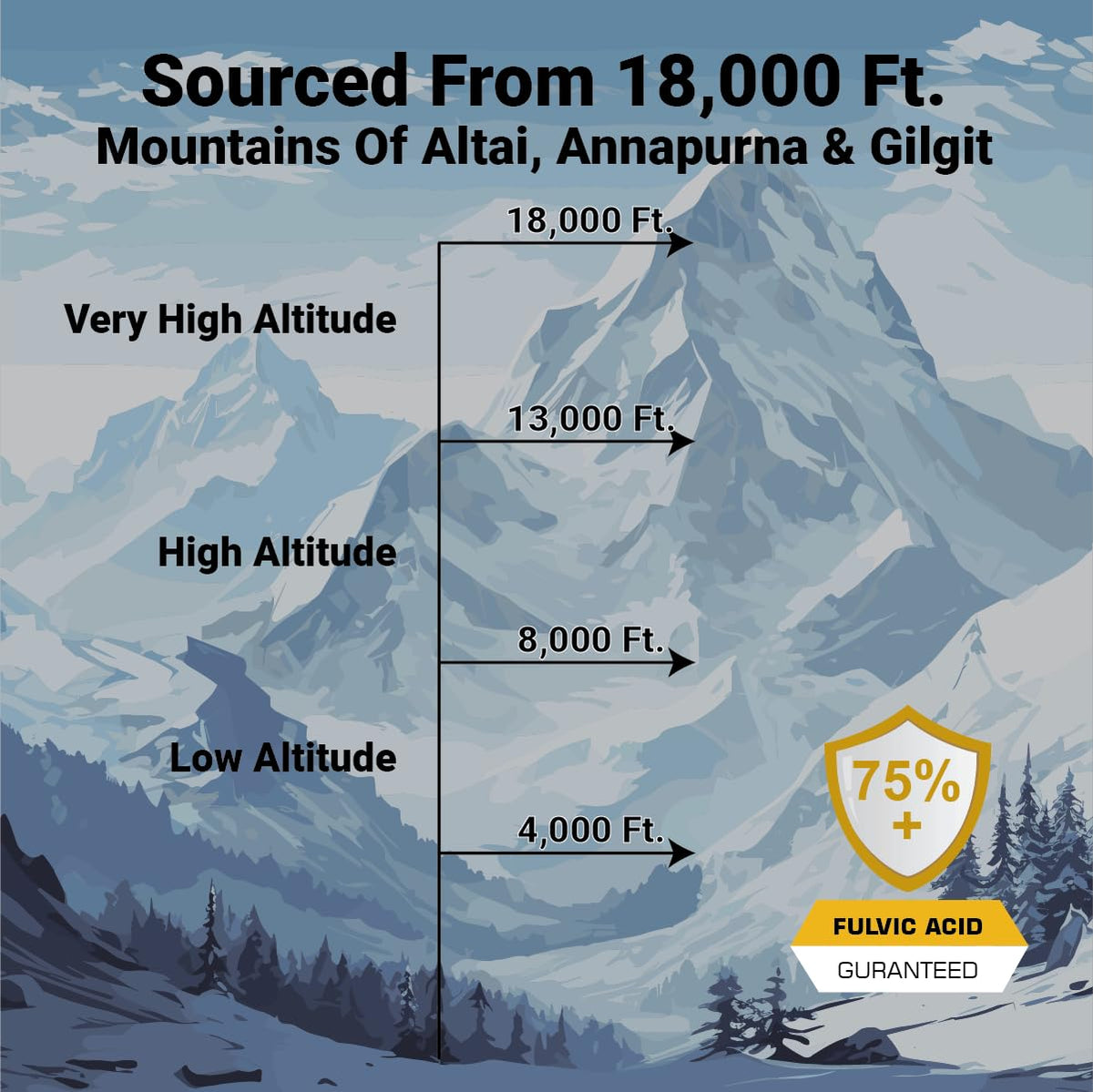 ! Résine de Shilajit 20g, emballage