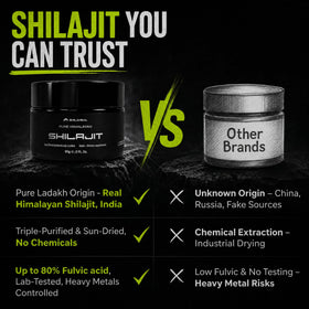 Résine de shilajit SHILAHEAL avec des ingrédients naturels