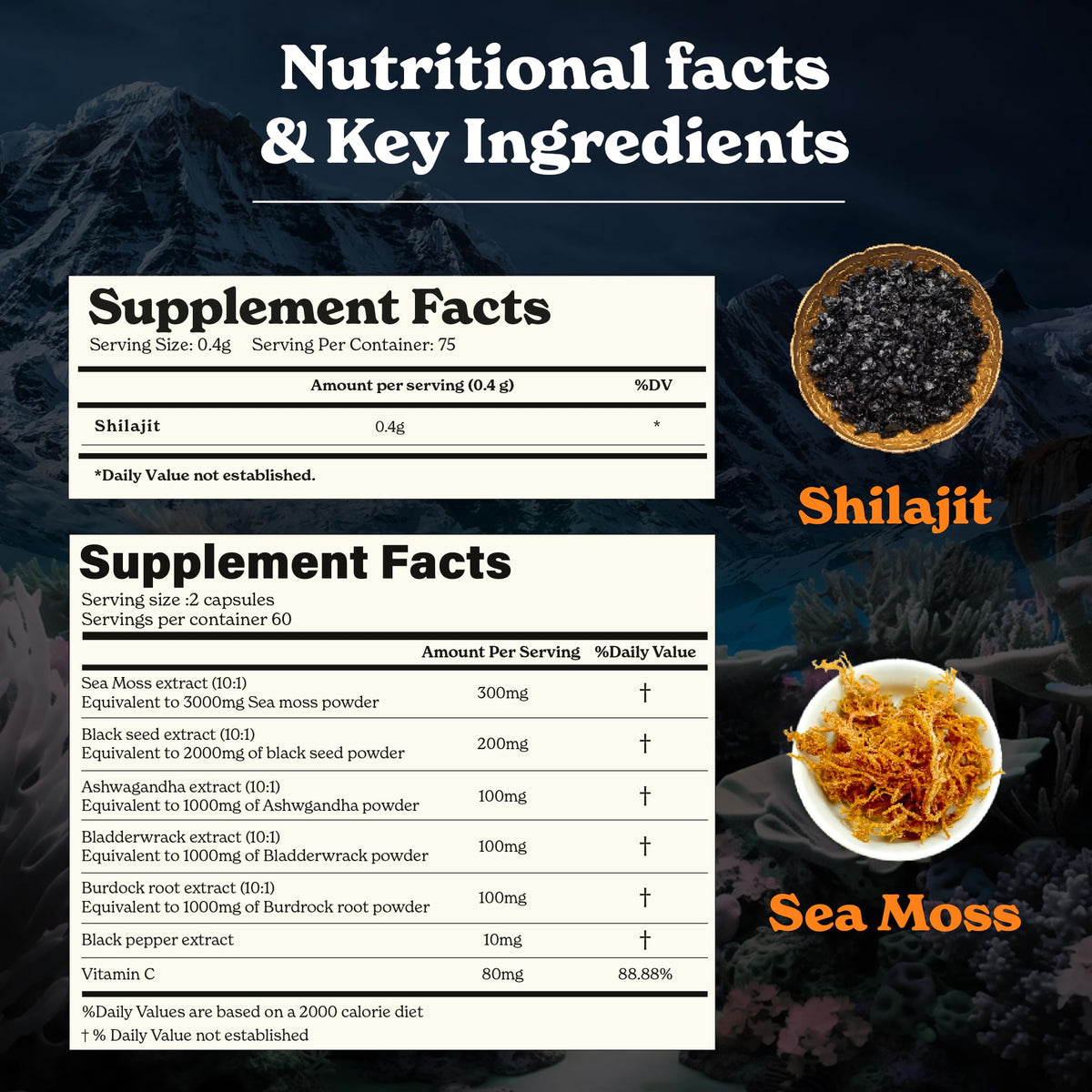 Résine Shilajit en pot de 30 g