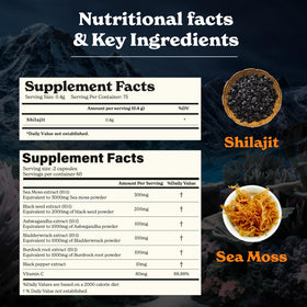 Résine Shilajit en pot de 30 g