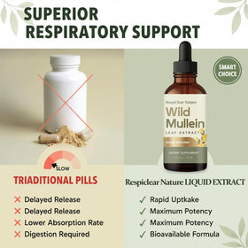 Respiclear Nature extrait de molène avec fruits de gingembre et citron