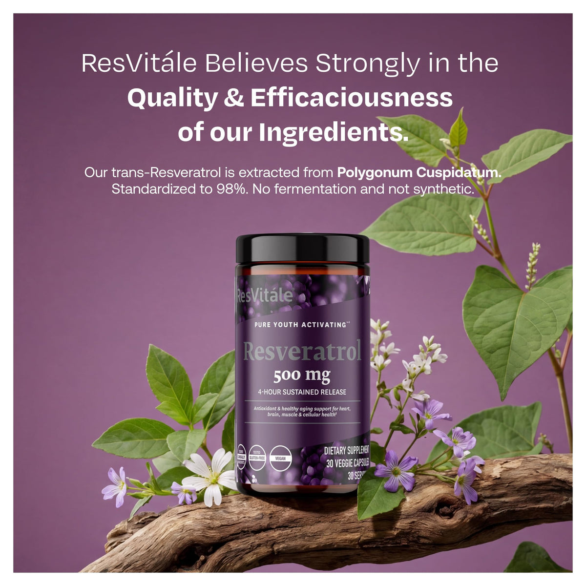 ResVitale Resveratrol 500mg sur une table en bois