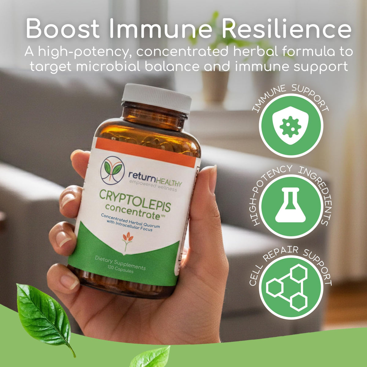 Retour Healthy Concentré de Cryptolepis capsules végétariennes sur fond blanc