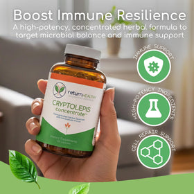 Retour Healthy Concentré de Cryptolepis capsules végétariennes sur fond blanc
