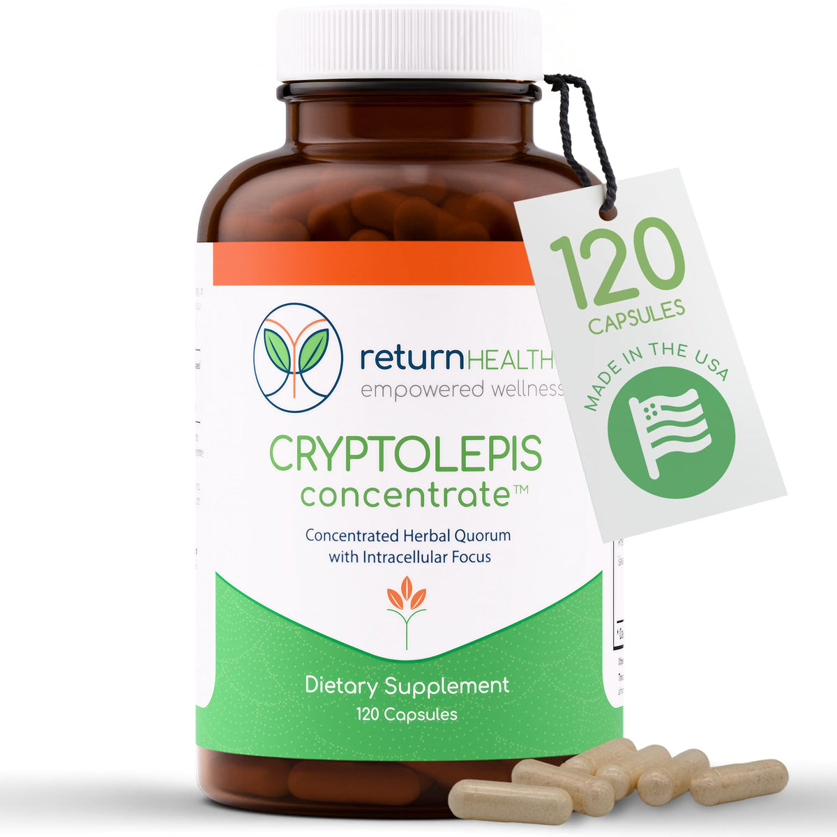 Return Healthy Concentré de Cryptolepis 120 capsules végétariennes vue de face