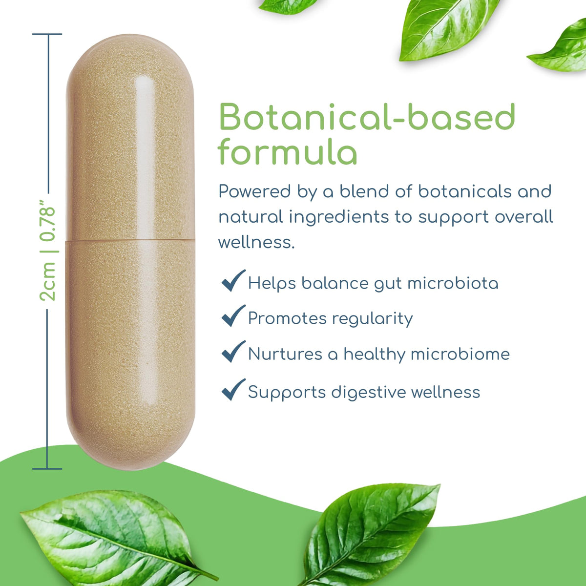 Return Healthy Microbiome Balance ingredients list