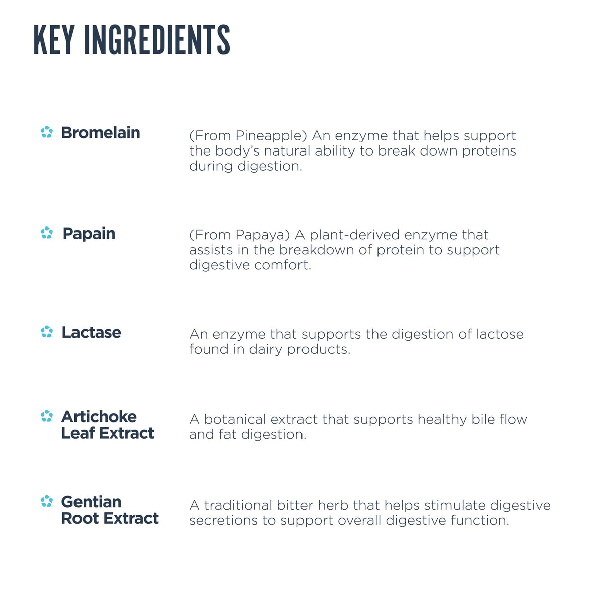Revive Complément Alimentaire Multi-Enzymes 90 Capsules côté