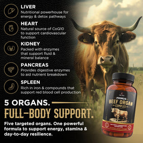 Revolution Science Complément Alimentaire Organique Bovine 180 Capsules - vue latérale