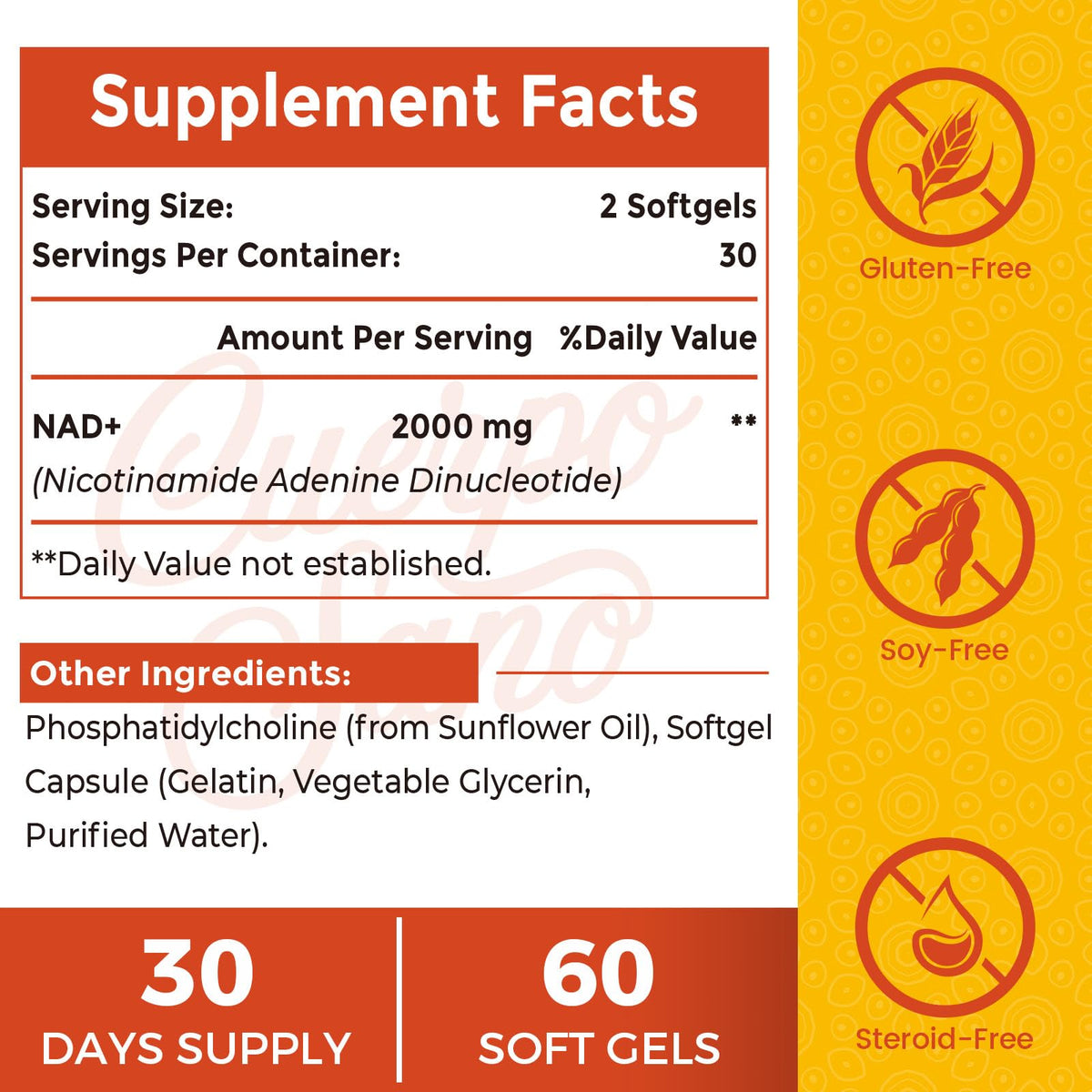 Rhameph Complément Alimentaire NAD+ Liposomal 2000 mg, gélules en gros plan