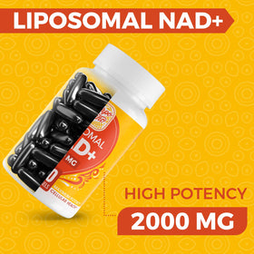 Rhameph Complément Alimentaire NAD+ Liposomal 2000 mg, vue arrière de l'emballage