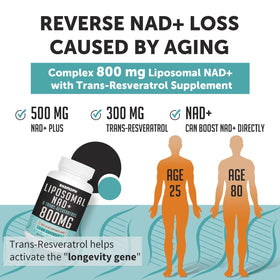Rhameph Liposomal NAD+ 800 mg étiquette de produit