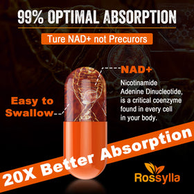 Rhameph NAD+ Liposomal 1300 mg illustration des ingrédients