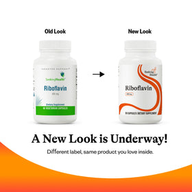 Riboflavine Seeking Health dans un cadre de vie sain