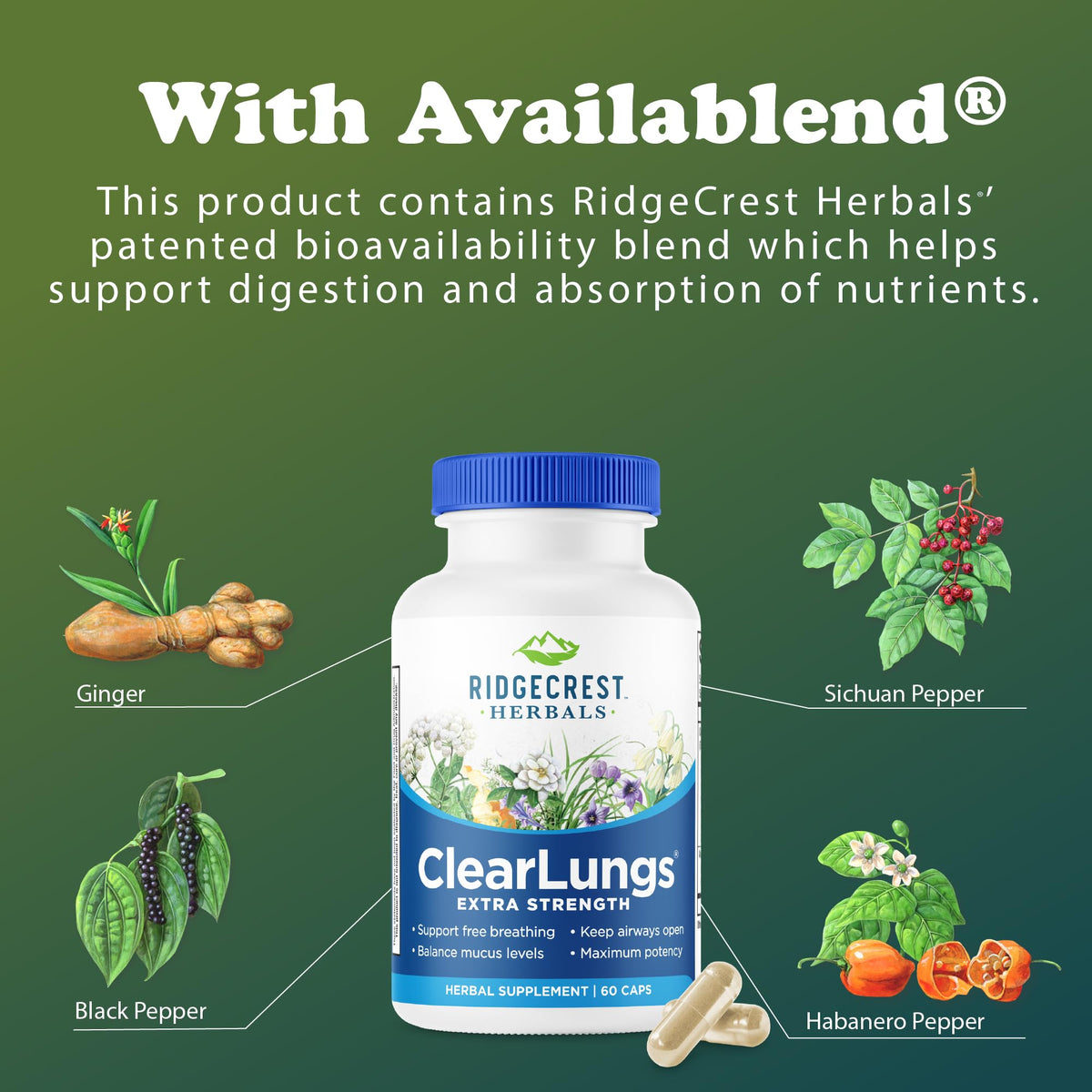 RidgeCrest Herbals ClearLungs 60 Ct prise en main