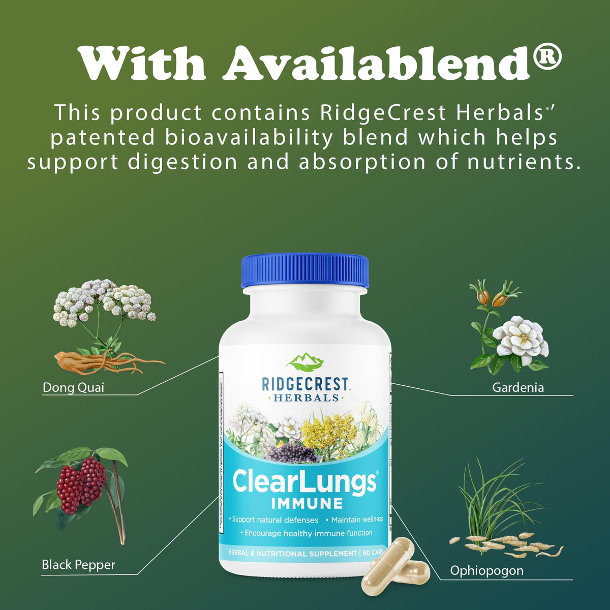 RidgeCrest Herbals ClearLungs daily wellness, gélules sur un fond neutre