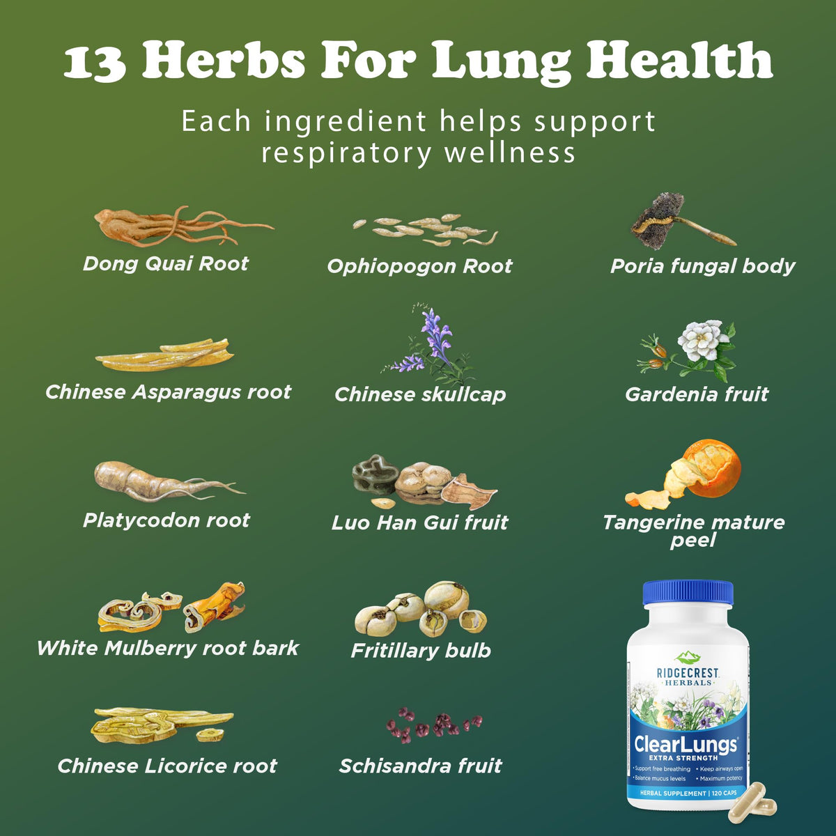 RidgeCrest Herbals ClearLungs Extra Strength 120 ct vue arrière
