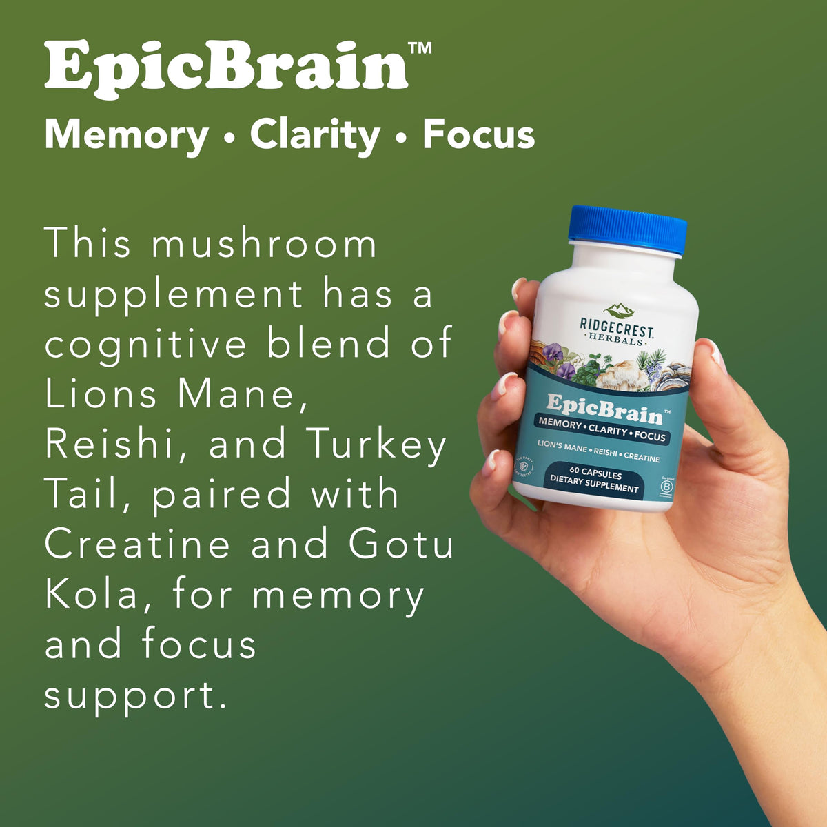 RidgeCrest Herbals EpicBrain 60 capsules ouvertes avec une capsule visible