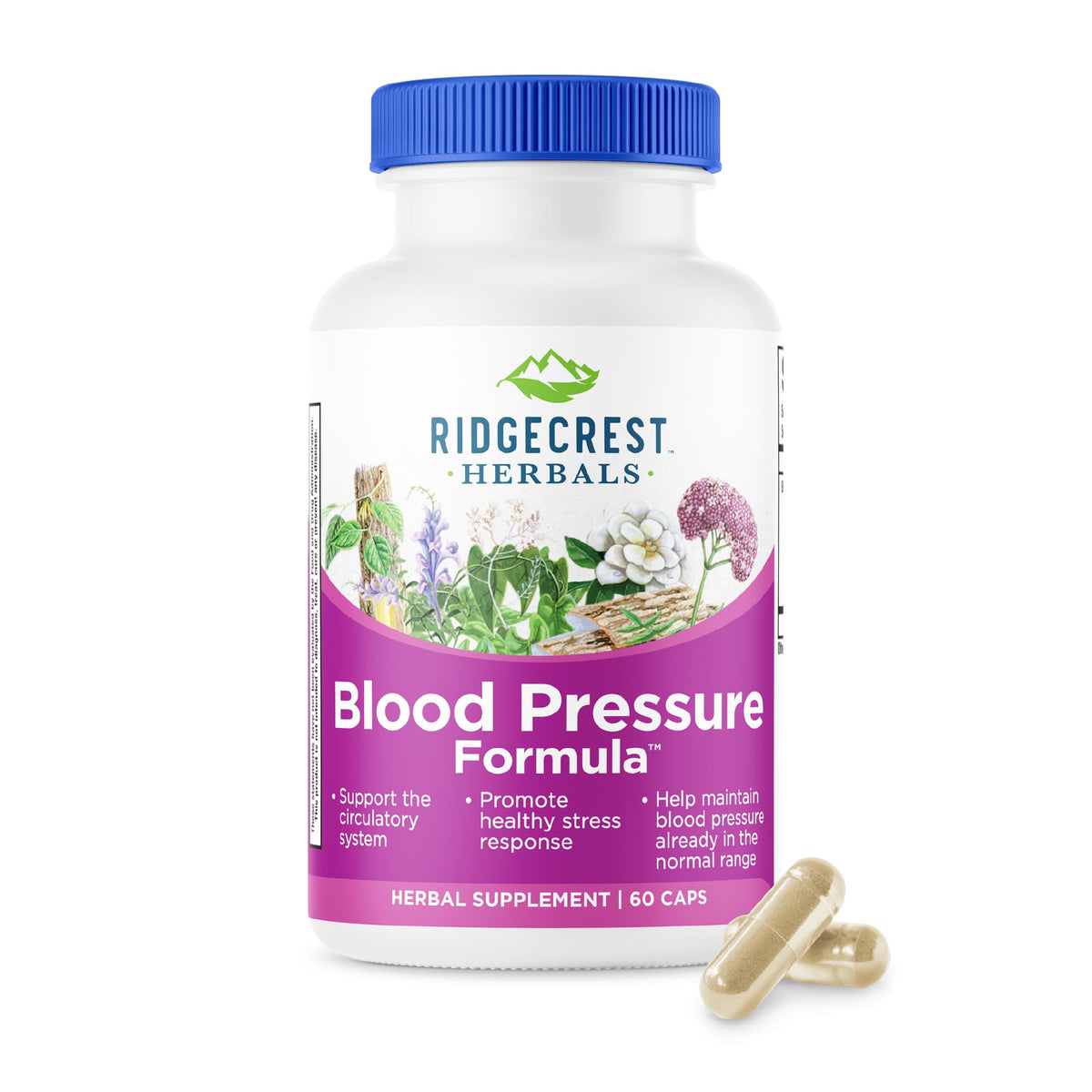 RidgeCrest Herbals Formule à Base de Plantes pour la Circulation 60 Ct - vue avant