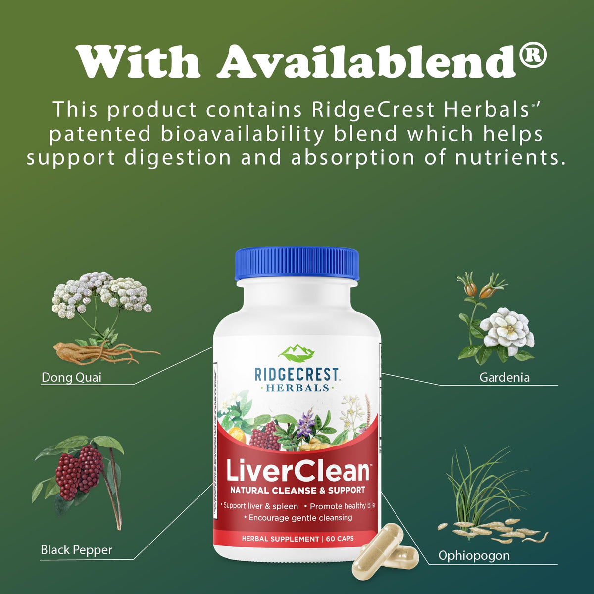 RidgeCrest Herbals LiverClean flacon de 60 capsules