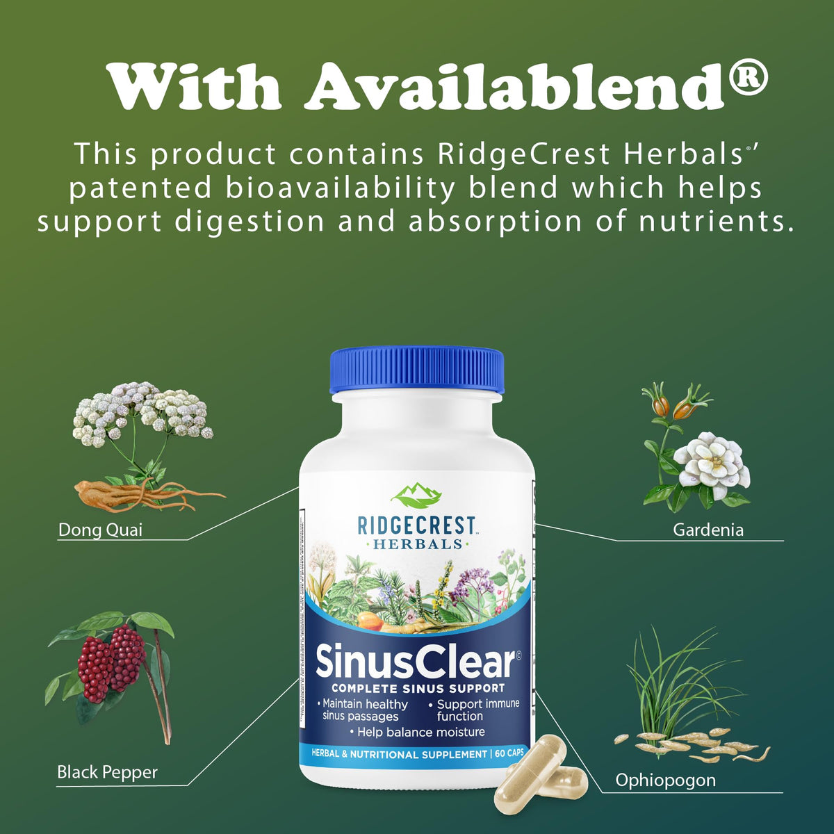 RidgeCrest Herbals SinusClear avec d'autres compléments alimentaires