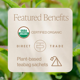 Rishi Tea Rituel Thé Vert Bio sachets avec une tasse de thé
