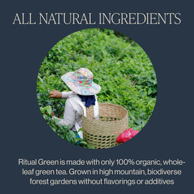 Rishi Tea Rituel Thé Vert Bio sachets dans leur emballage