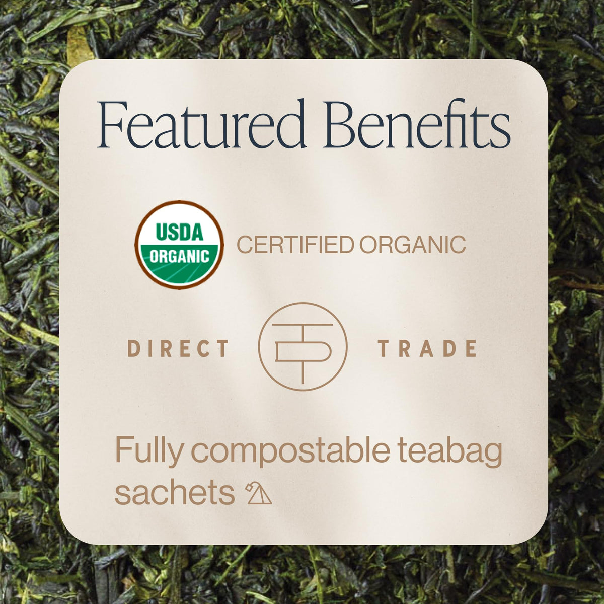 Rishi Tea Sachets de Thé Vert Sencha Bio - Infusion dans une tasse
