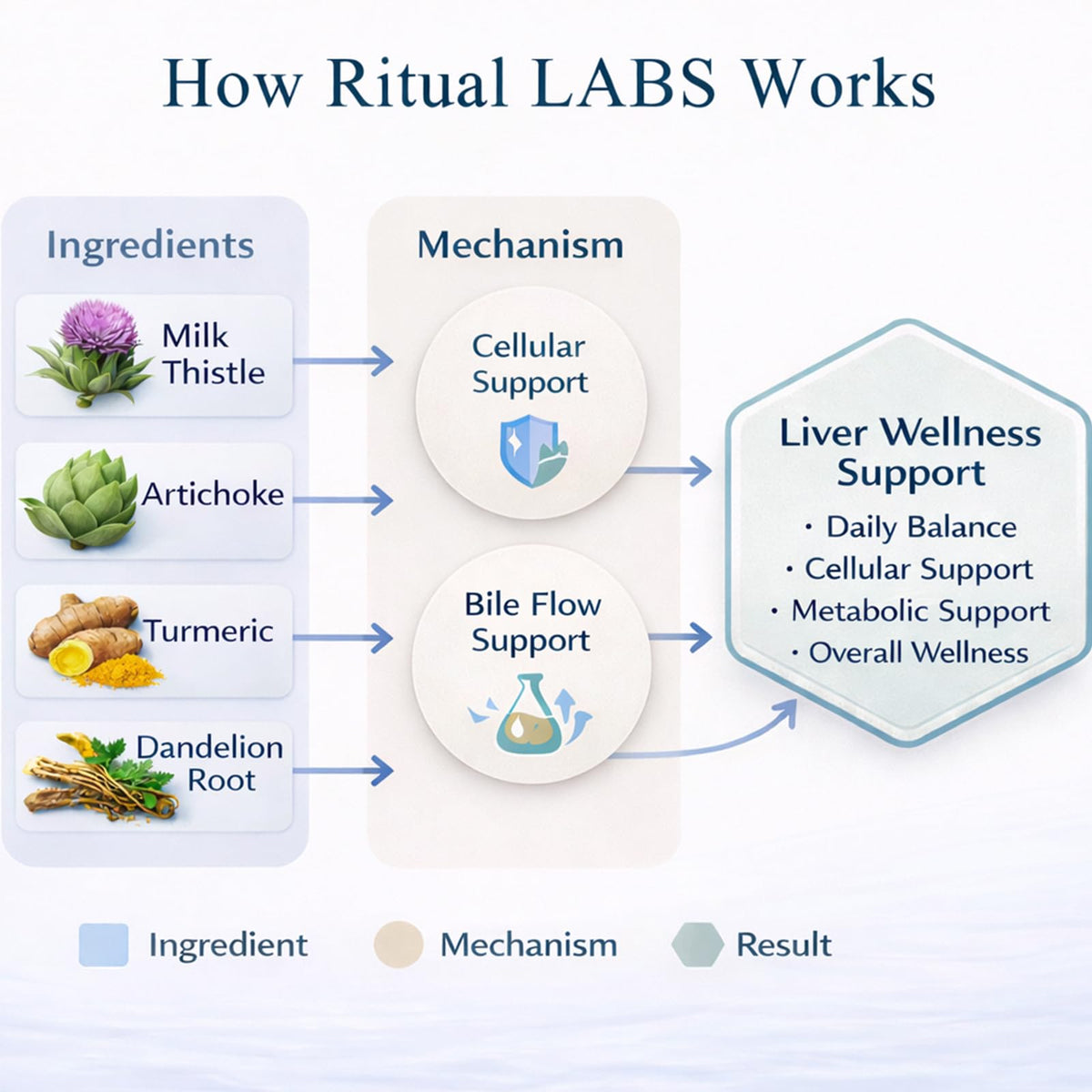 Ritual Labs Complément Alimentaire Plant-Based 60 Comprimés prise en main