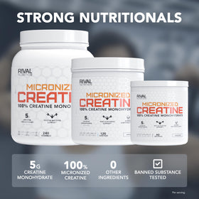 Rivalus Poudre de Créatine Micronisée 1352g à mélanger dans un shake