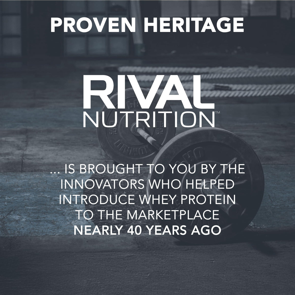 Rivalus Poudre de Créatine Micronisée 1352g au sein d'une routine santé