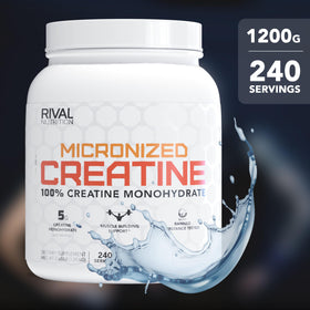 Rivalus Poudre de Créatine Micronisée 1352g avec une cuillère doseuse