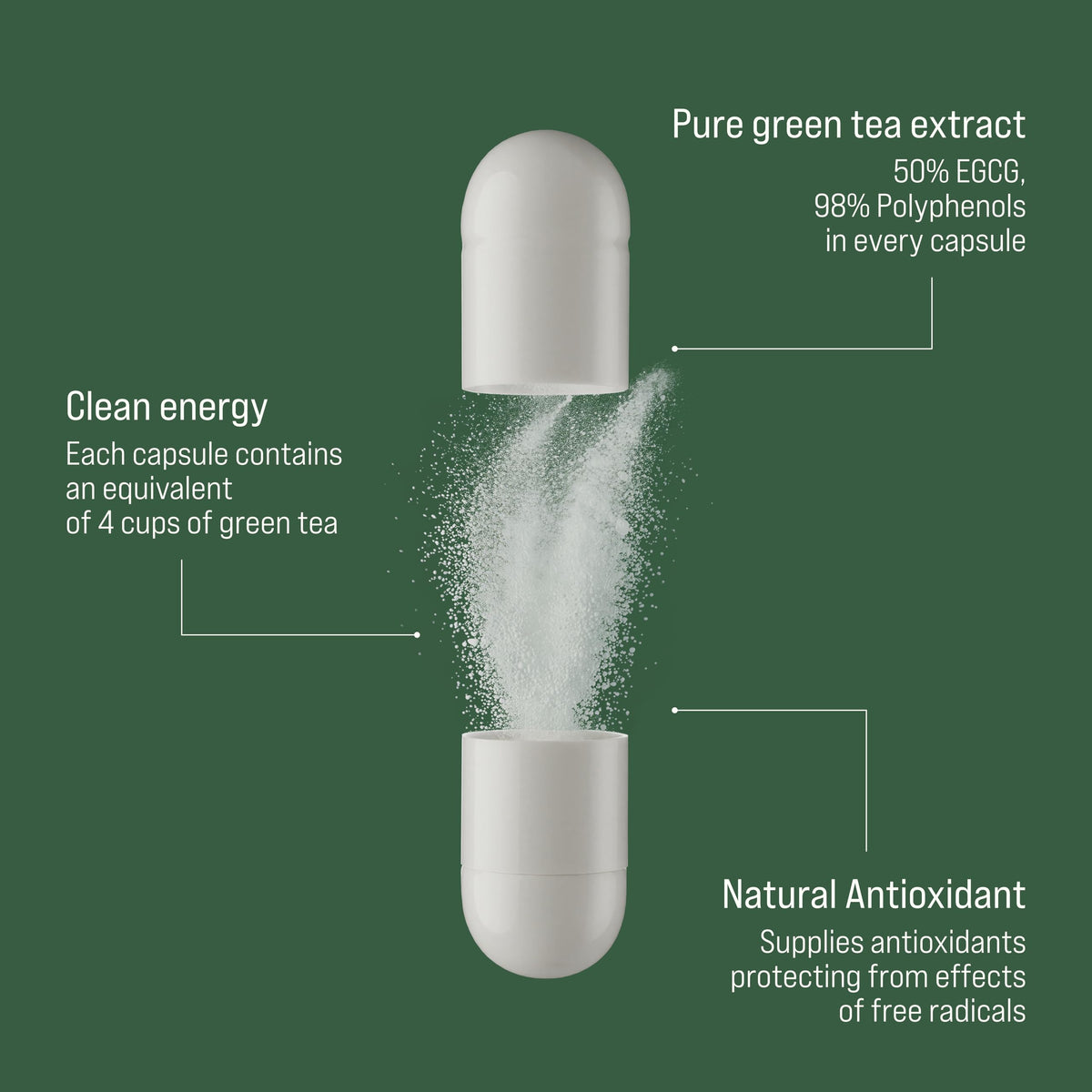 Rivium extrait de thé vert 500 mg capsules de côté