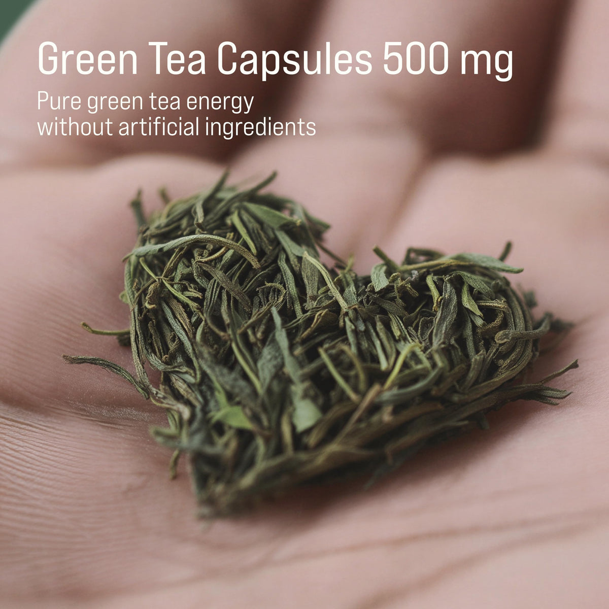 Rivium extrait de thé vert 500 mg emballage et capsules