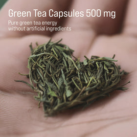 Rivium extrait de thé vert 500 mg emballage et capsules