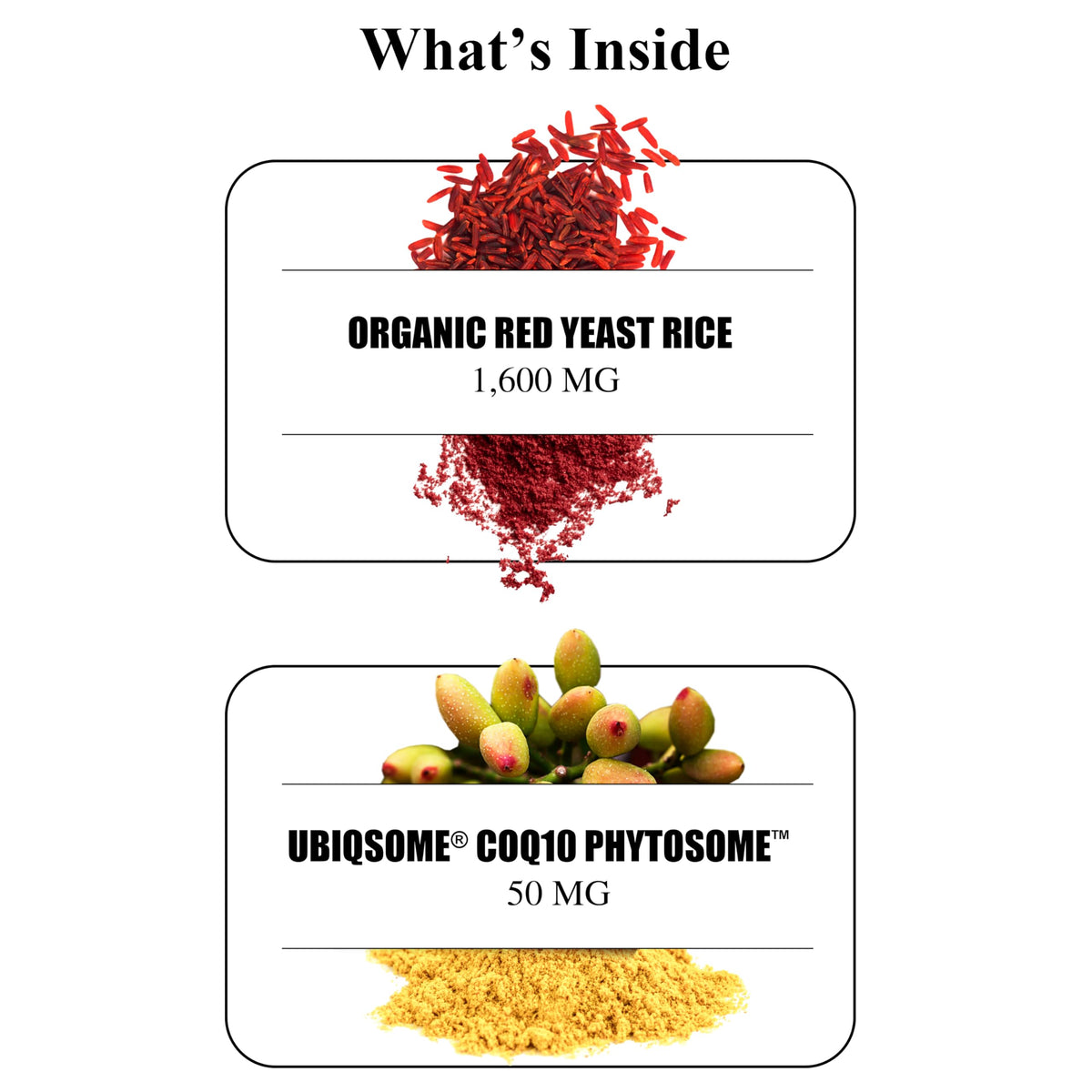 Riz de Levure Rouge Durable 1 600 mg prise de nutriments