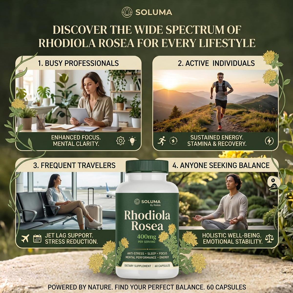 Roilois Rhodiola Rosea dans un environnement de vie sain