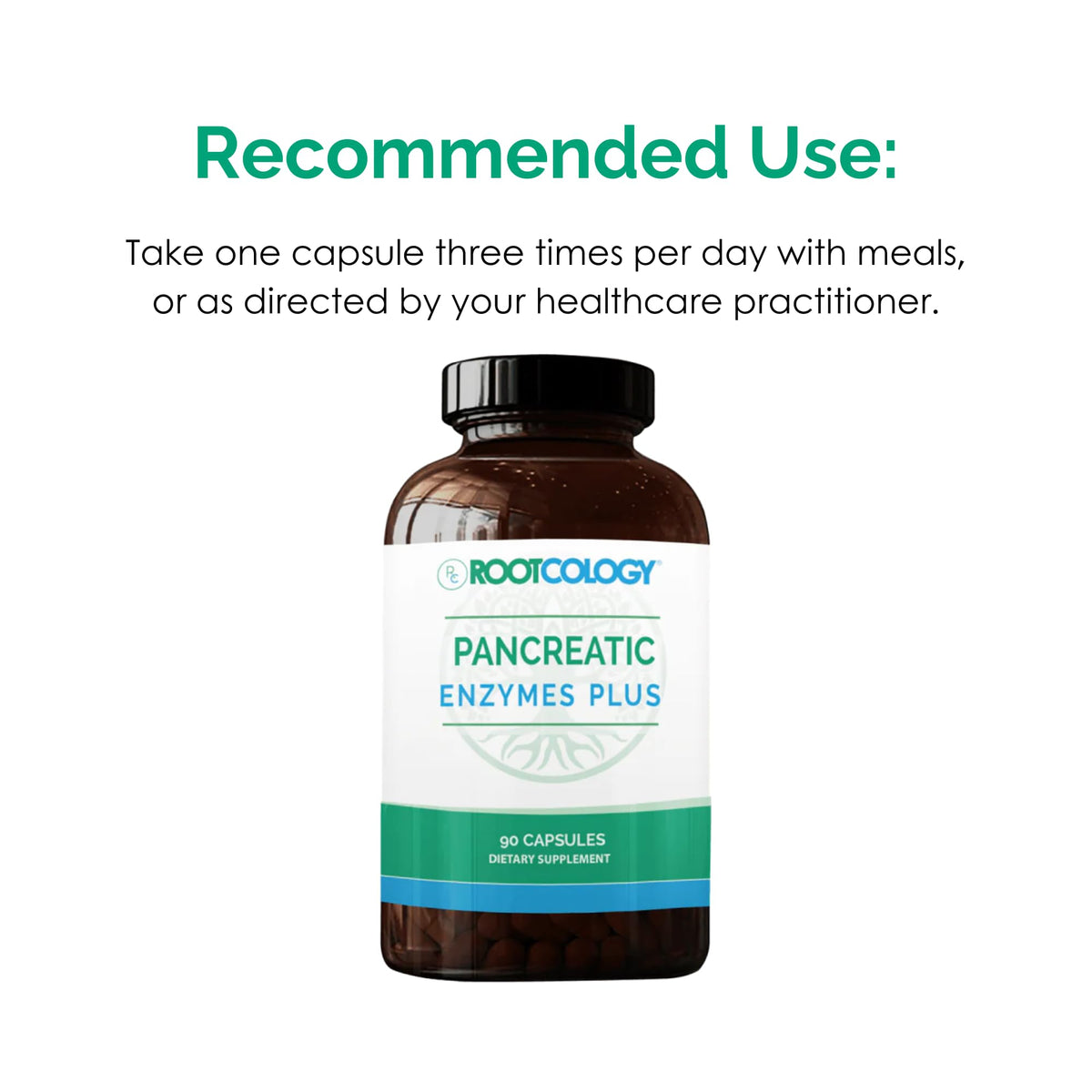 Rootcology Pancreatic Enzymes Plus, présentation du produit