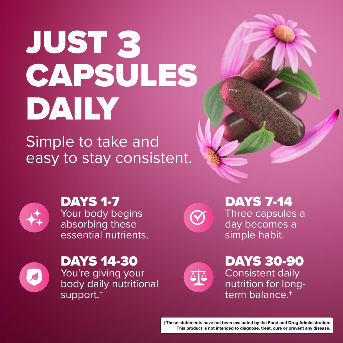 Rosabella Baies de Sureau, Zinc & Vitamine D3 capsules, prise quotidienne
