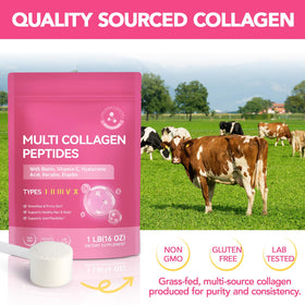 RSGRT Poudre de Collagène Multi Peptides 950g zoom sur l'emballage