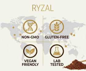 RYZAL Café aux Champignons glacé avec lait