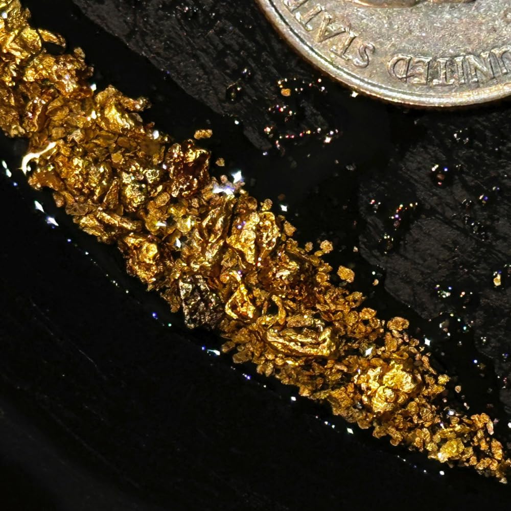 Sac de paillettes d'or Bobby Nugget dans une main