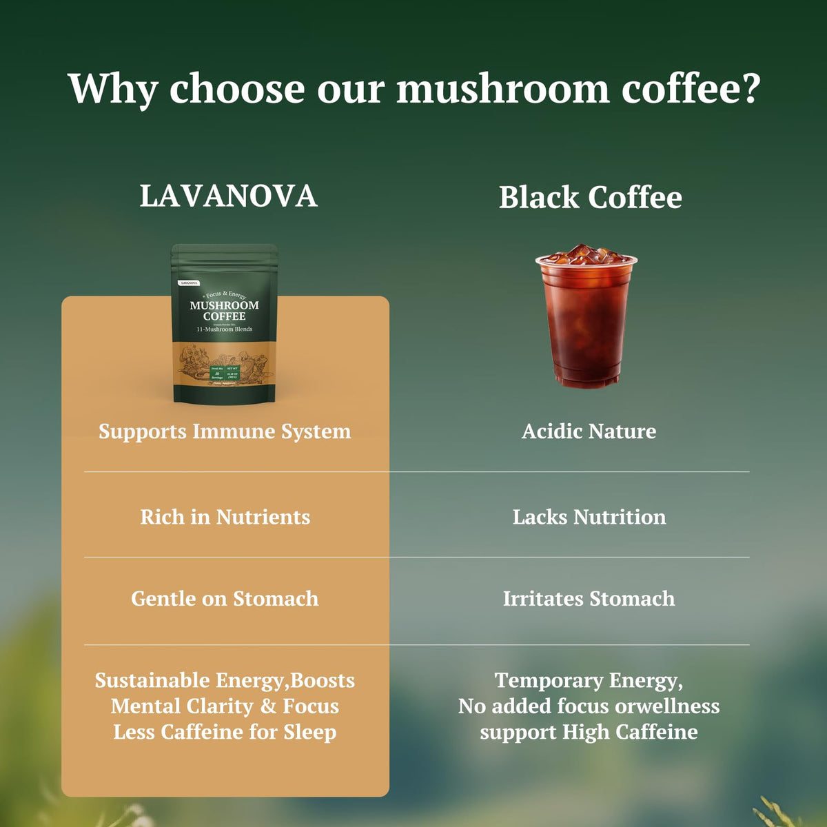 Sachet de café aux champignons LAVANOVA ouvert avec une cuillère