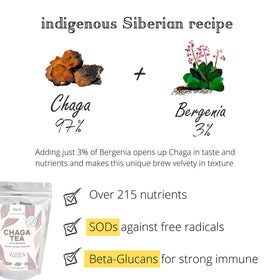 Sachet de Chaga Tea Baikal Tea en gros plan