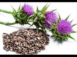 Sachet de chardon-Marie sur une table avec d'autres herbes